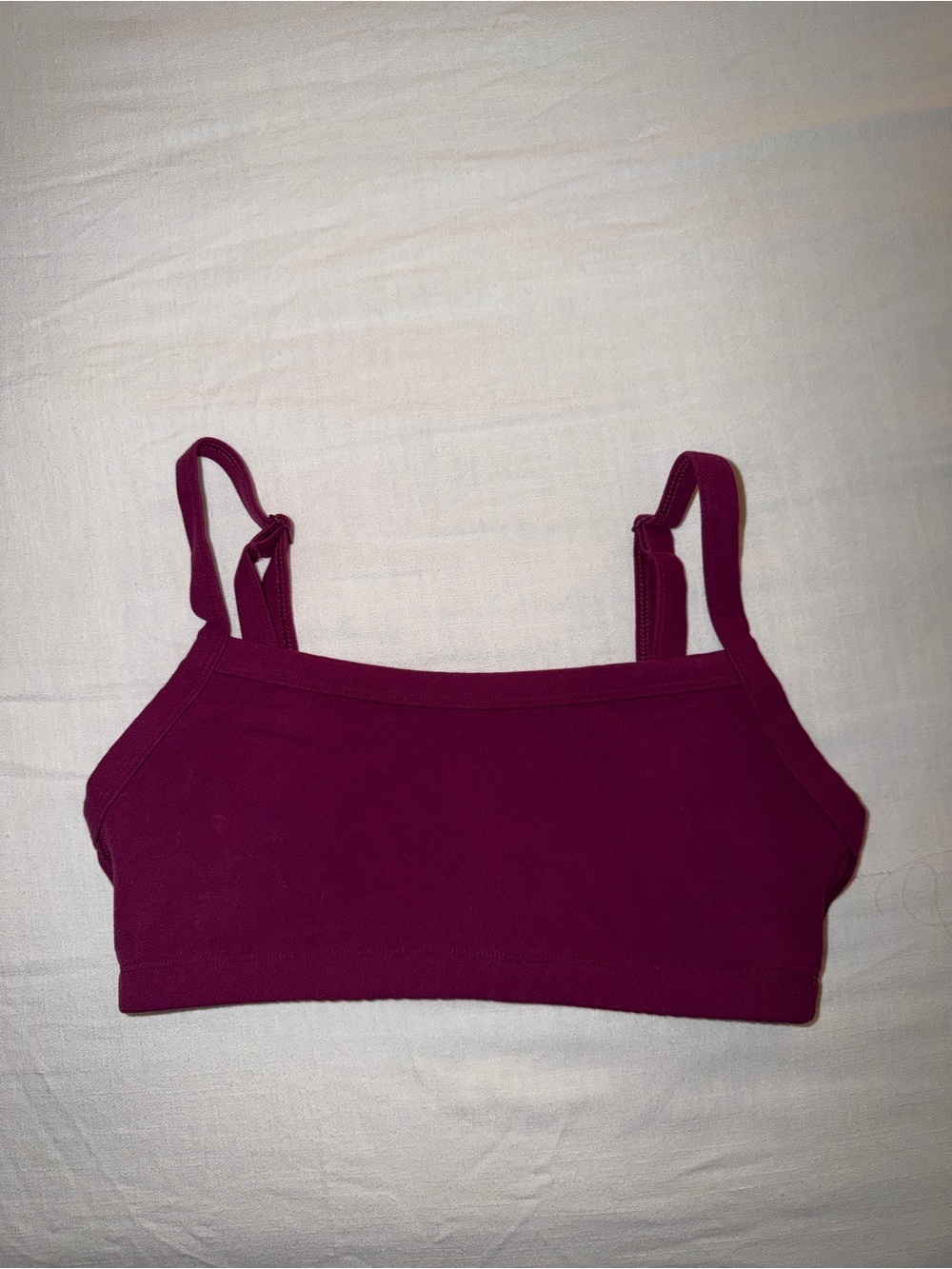 Aritzia | Berry-Colored Stretch Bra